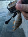 IMG_20190706_201732.jpg