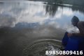 DSC_0049.JPG