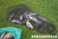 DSC_0061.JPG