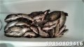 IMG-20190708-WA0001.jpg
