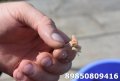DSC_0028.JPG