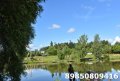 DSC_0046.JPG
