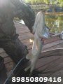 IMG_20190709_063900.jpg