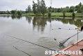 DSC_0005.JPG