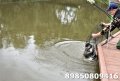 DSC_0008.JPG