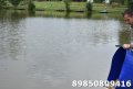 DSC_0053.JPG