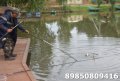 DSC_0005.JPG