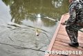 DSC_0010.JPG
