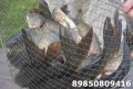 DSC_0023.JPG