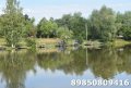 DSC_0041.JPG