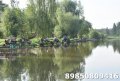 DSC_0046.JPG