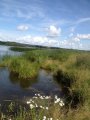 IMG-20190714-WA0030.jpg