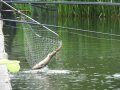 DSCF5713.JPG