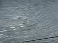 DSCF5716.JPG