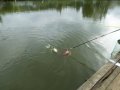 DSCF5721.JPG