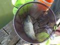 DSCF5741.JPG