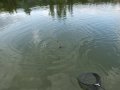 DSCF5798.JPG