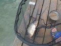 DSCF5799.JPG