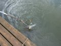 DSCF5801.JPG