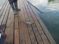 DSCF5828.JPG