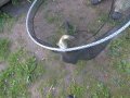 DSCF5841.JPG