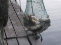 DSCF5852.JPG