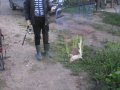DSCF5856.JPG