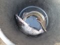 DSCF5871.JPG