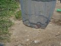 DSCF5878.JPG
