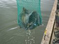 DSCF5890.JPG