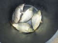 DSCF5885.JPG