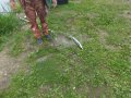 DSCF5903.JPG