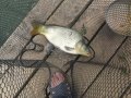 DSCF5908.JPG