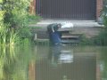 DSCF5921.JPG