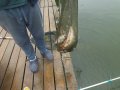 DSCF5946.JPG