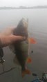 IMG_20190723_092058.jpg