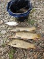 IMG-20190724-WA0016.jpg
