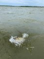 IMG_3882.JPG