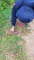 20190801_073545.jpg