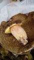 IMG-20190803-WA0018.jpeg