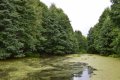 DSC_0121.jpg