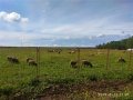 IMG_20190813_114133.jpg