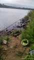 IMG_20190817_084508.jpg