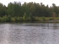 IMG_20190817_122826.jpg