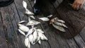 20190818_102413.jpg