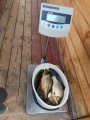 IMG_20190821_174620.jpg