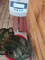 IMG_20190822_131904.jpg