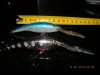 RAPALA TDD-9.jpg