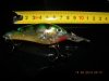 Rapala Glass Fat Rap.jpg