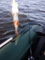 IMG_20190829_173404.jpg
